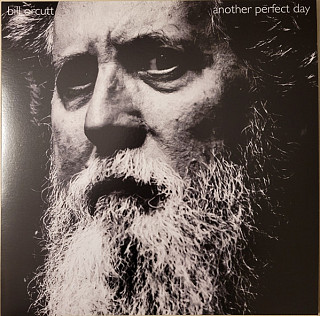 Bill Orcutt - Another Perfect Day