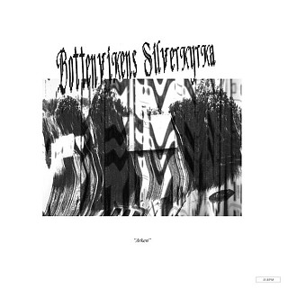 Bottenvikens Silverkyrka - Arken EP