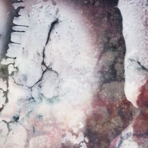 Multicast Dynamics - Outer Envelopes