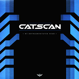 Catscan - My Defragmentated Head