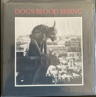 Current 93 - Dogs Blood Rising