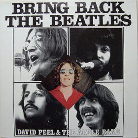 David Peel & The Apple Band - Bring Back The Beatles