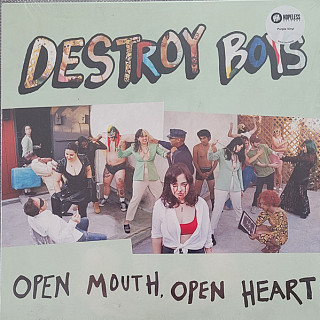 Destroy Boys - Open Mouth Open Heart