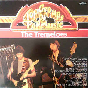 The Tremeloes - Top Groups Of Pop Music