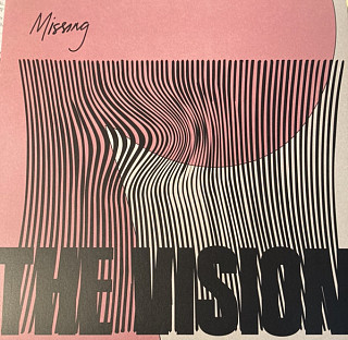 The Vision - Missing