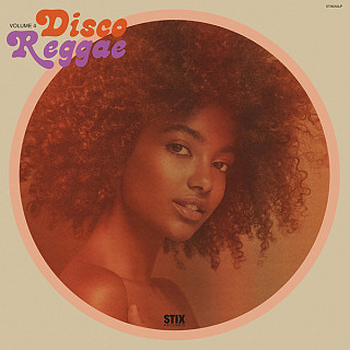 Various Artists - Disco Reggae Volume 4