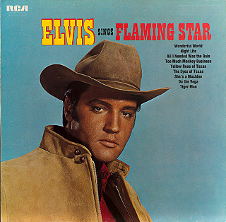 Elvis Presley - Elvis sings Flaming Star