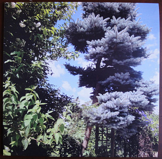 Professor Inc. - Live Twenty Years Ago