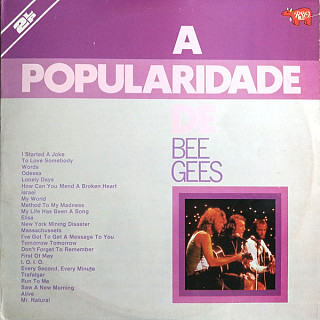 Bee Gees - A Popularidade De Bee Gees