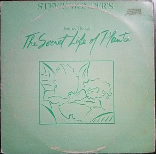 Stevie Wonder - Journey Through The Secret Life Of Plants