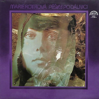 Marie Rottrová - Pěšky po dálnici