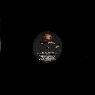 Large Professor - The Mad Scientist