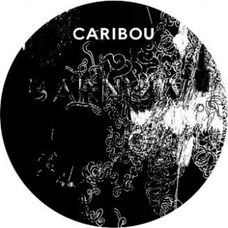 Caribou - Barnowl