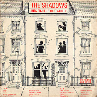 The Shadows - Hits Right Up Your Street
