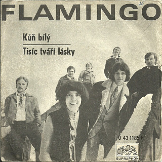 Flamingo - Kůň bílý / Tisíc tváří lásky