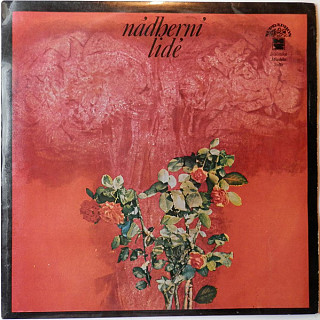 Various Artists - Nádherní lidé