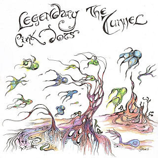 The Legendary Pink Dots - The Tunnel