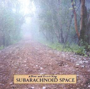 SubArachnoid Space - A New And Exact Map