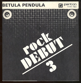 Betula Pendula - Rock Debut 3