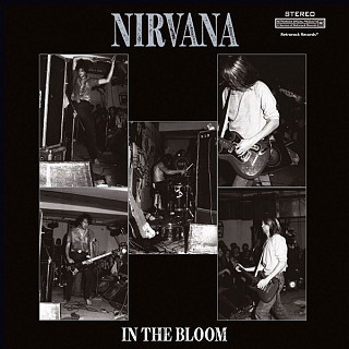 Nirvana - In The Bloom