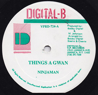 Ninjaman - Things A Gwan / Test The Hi Power