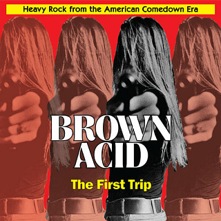 Various Artists - Brown Acid: The First Trip (Heavy Rock From The American Comedown Era)