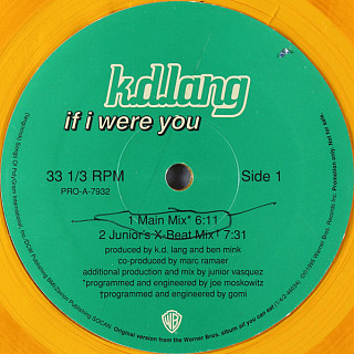 k.d. lang - If I Were You