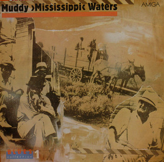 Muddy Waters - Live