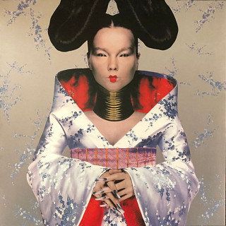 Björk - Homogenic