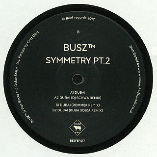 BUSZ™ - Symmetry Pt.2