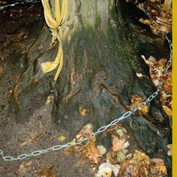 OTK - Nádoba Na Maso / Místní Borci