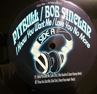 Pitbull - I Know You Want Me / Love You No More