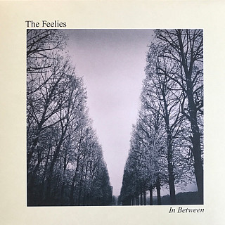 The Feelies - In Between