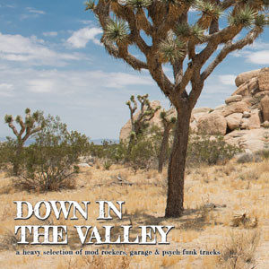 Various Artists - Down In The Valley 1