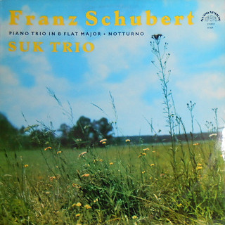 Franz Schubert - Piano Trio In B Flat Major • Notturno
