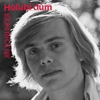 Jiří Schelinger - Holubí dům