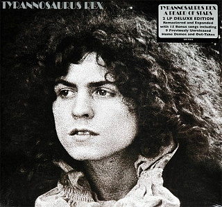Tyrannosaurus Rex - A Beard Of Stars