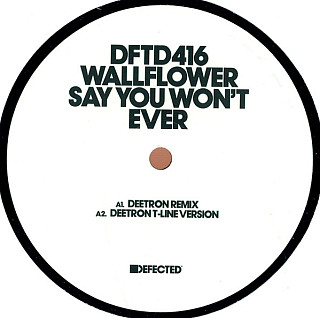 Wallflowers - Say You Won't Ever