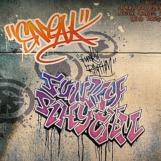 DJ Sneak - Funky Rhythm