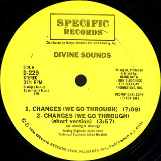 Divine Sounds - Changes / Do Or Die Bed Sty