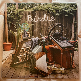 Dog Slaughter Beach - Birdie