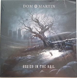 Dom Martin - Buried In The Hail