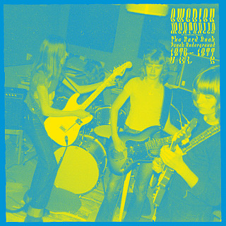 Various Artists - Swedish Meatballs - The Hard Rock Psych Underground 1970 - 1977 Vol 2