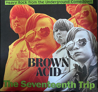 Various Artists - Brown Acid: The Seventeenth Trip (Heavy Rock From The Underground Comedown)