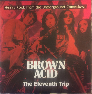 Various Artists - Brown Acid: The Eleventh Trip (Heavy Rock From the Underground Comedown)