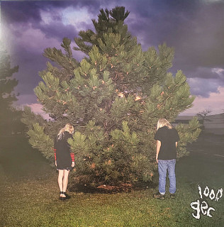 Hundred Gecs - 1000 Gecs