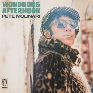 Pete Molinari - Wondrous Afternoon