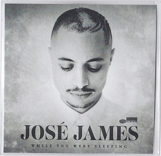 José James - While You Were Sleeping