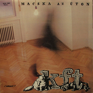 KFT - Macska Az Úton