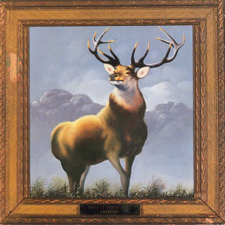 Killdozer - Twelve Point Buck